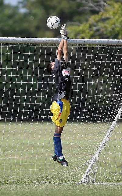 极大地提升 极大地提升