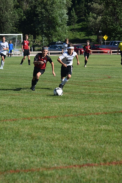 2月的技术 2月的技术