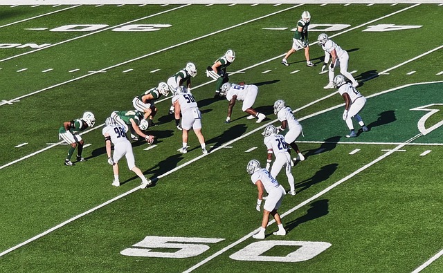 球迷入场的 球迷入场的