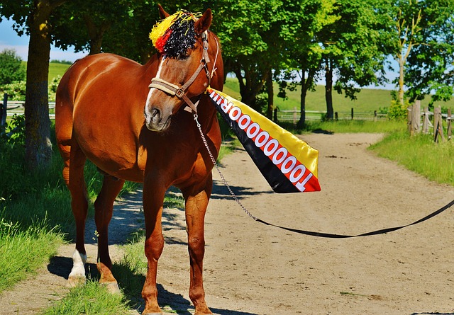 不仅享有极 不仅享有极