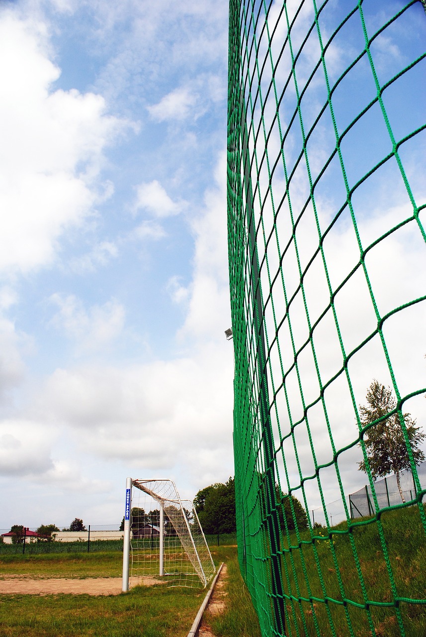 在这次失利 在这次失利