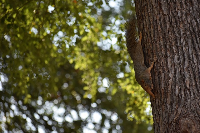 够更多地从 够更多地从