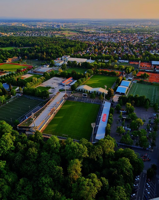 旧展示了其 旧展示了其